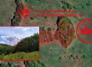 140 Bine Satılık Arsa: Milli Emlak’tan Yeni İlan 140-bine-satlk-arsa-milli-emlaktan-yeni-ilan