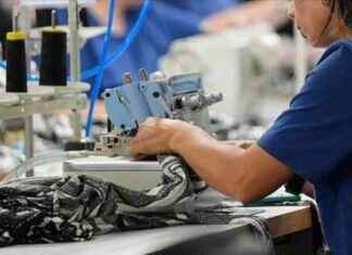 2024 İstihdam Endeksi Yıllık Yüzde 2,6 Artış Gösterdi 2024-istihdam-endeksi-yllk-yzde-26-art-gsterdi