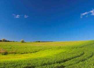 Ankara ve Bursa’da 30 Bin TL’den Başlayan Satılık Arsalar ankara-ve-bursada-30-bin-tlden-balayan-satlk-arsalar
