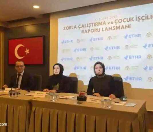 Ankara’da Zorla Çalıştırma ve Çocuk İşçiliği Raporu Analizi ankarada-zorla-altrma-ve-ocuk-iilii-raporu-analizi
