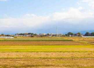Gaziantep ve Düzce’de Satılık Arsa ve Arazi İlanları gaziantep-ve-dzcede-satlk-arsa-ve-arazi-ilanlar