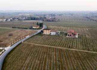 İzmir Menderes Belediyesi’nden Satılık 8 Arazi izmir-menderes-belediyesinden-satlk-8-arazi