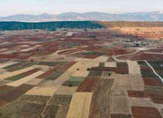 Milli Emlak’tan Didim ve Karesi’de Satılık Arazi. milli-emlaktan-didim-ve-kareside-satlk-arazi