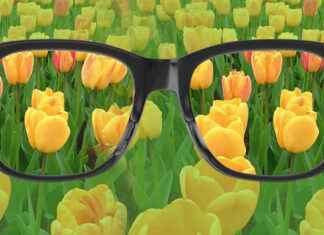 Renk Körlüğü: Nedenleri, Belirtileri ve Yaşam Üzerindeki Etkileri renk körlüğü, renk körlüğü testi, renk körlüğü gözlüğü, renk körlüğü nedir, renk körlüğü lensi, renk körlüğü tedavisi, renk körlüğü çeşitleri