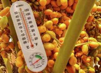 Hava Durumu Değişikliği Uyarısı ve Tahmini hava-durumu-deiiklii-uyars-ve-tahmini