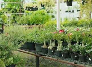 İzmir Peyzaj Sektörü Buluşması: Tarih ve Detaylar izmir-peyzaj-sektr-bulumas-tarih-ve-detaylar