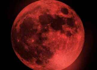 Kovid-19 kısıtlamaları sonrası ilk konser yapıldı! kovid-19-kstlamalar-sonras-ilk-konser-yapld