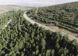 Ormanlık alan sınırları değişikliği: 12 ilde güncel durum ormanlk-alan-snrlar-deiiklii-12-ilde-gncel-durum