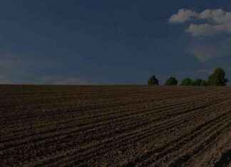 Tekirdağ Hayrabolu’da Satılık 435 Bin TL’lik Arsa tekirda-hayraboluda-satlk-435-bin-tllik-arsa