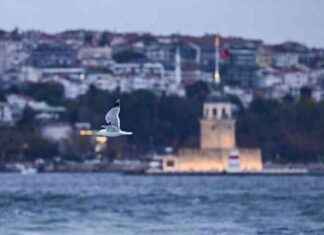 Hava Durumu: Meteoroloji Uyarısı ve Bugünkü Tahminler (23 Mayıs 2025) hava-durumu-meteoroloji-uyars-ve-bugnk-tahminler-23-mays-2025