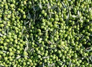 Edremit Belediye Emlak Vergisi Ödeme: Kolay ve Hızlı Rehber