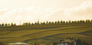 Gölbaşı Belediyesi Emlak Vergisi Hakkında Merak Edilenler!