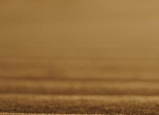 Emlak Vergisi Ne Kadar? Şaşırtan Detaylar ve Hesaplama Rehberi