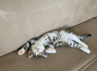 Selçuklu Belediyesi Emlak Vergisi Ödeme: Kolay Yöntemler ve İpuçları