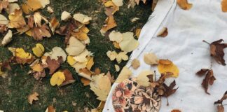 Meram Belediyesi Emlak Vergisi Ödeme Rehberi: Kolay ve Hızlı!