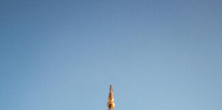 Milli Emlak Gov Tr ile Devlet Arazileri Hakkında Bilmeniz Gerekenler