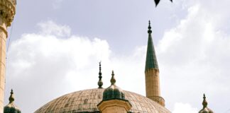 Seyhan Belediyesi Emlak Vergisi Ödeme: Kolay ve Hızlı Rehber