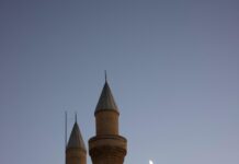 Sivas Emlak Fırsatları: Kaçırılmayacak Ev ve Arsa İlanları!