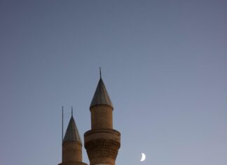 Sivas Emlak Fırsatları: Kaçırılmayacak Ev ve Arsa İlanları!