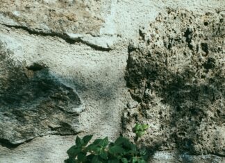 Yıldırım Emlak ile Hayalinizdeki Evi Kolayca Bulmanın Sırları