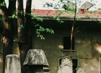 Eyüp Belediyesi Emlak Vergisi Nasıl Hesaplanır? Merak Edilenler!