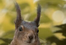 Aktif Emlak İle Hayalinizdeki Evi Kolayca Bulmanın Sırları