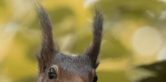 Aktif Emlak İle Hayalinizdeki Evi Kolayca Bulmanın Sırları