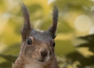 Aktif Emlak İle Hayalinizdeki Evi Kolayca Bulmanın Sırları