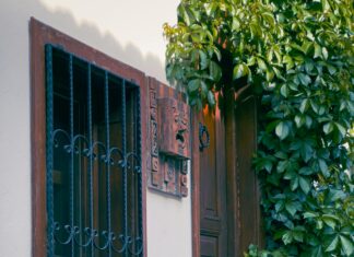 Eskişehir Emlak Fırsatları: Kaçırılmayacak Ev ve Arsa İlanları