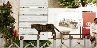 Milli Emlak Genel Müdürlüğü Haberleri: Şimdi Neler Oluyor?