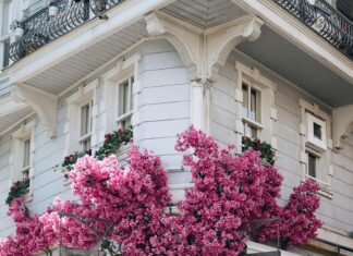 Emlak Konut Arnavutköy Başvuru Nasıl Yapılır? Fırsatları Kaçırma!