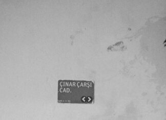 Çınar Emlak İle Hayalinizdeki Evi Keşfetmenin Sırları