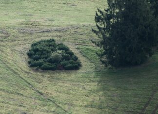 Huzur Emlak İle Hayalinizdeki Evi Kolayca Bulmanın Sırları