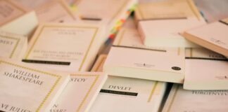 E Devlet Emlak Vergisi Nasıl Ödenir? Pratik ve Hızlı Rehber