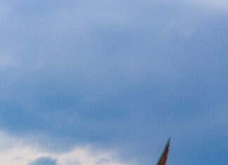 Kuşadası Belediyesi Emlak Vergisi Hakkında Bilmeniz Gerekenler!