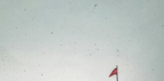 Emlak Katılım Kar Payı Nedir? Kazancınızı Artırmanın Sırları