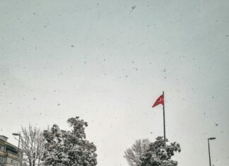 Emlak Katılım Kar Payı Nedir? Kazancınızı Artırmanın Sırları