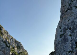 Bulut Emlak Samsun İle Hayalinizdeki Evi Kolayca Bulun!