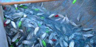 Emlak Net İle Hayalinizdeki Evi Keşfetmenin Sırları