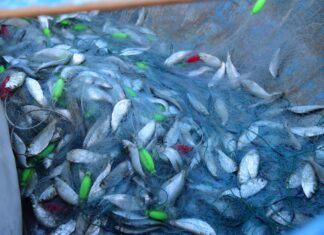 Emlak Net İle Hayalinizdeki Evi Keşfetmenin Sırları