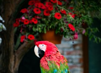 Ankara Emlak Fırsatlarıyla Hayalinizdeki Evi Keşfedin!