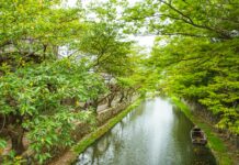 Thy Emlak Konut Kura Sonuçları Nasıl Öğrenilir? Şaşırtan Detaylar!