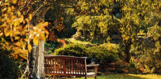 Kent Emlak ile Hayalinizdeki Evi Bulmanın Sırları Neler?