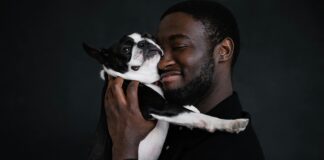 Emlak Vergisi Ne Zaman Ödenir? En Etkili Ödeme Rehberi