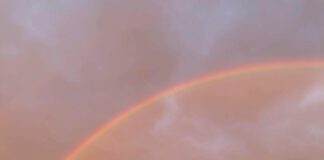 Bağcılar Belediyesi Emlak Vergisi Hakkında Merak Edilenler!