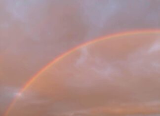 Bağcılar Belediyesi Emlak Vergisi Hakkında Merak Edilenler!