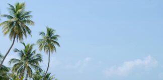 Maltepe Belediyesi Emlak Vergisi: Ödeme ve İtiraz Rehberi