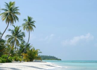 Maltepe Belediyesi Emlak Vergisi: Ödeme ve İtiraz Rehberi