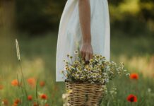 Osmangazi Belediyesi Emlak Vergisi Nasıl Hesaplanır? Merak Edilenler