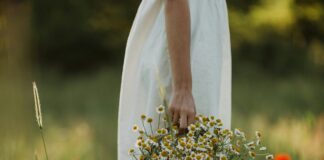 Osmangazi Belediyesi Emlak Vergisi Nasıl Hesaplanır? Merak Edilenler